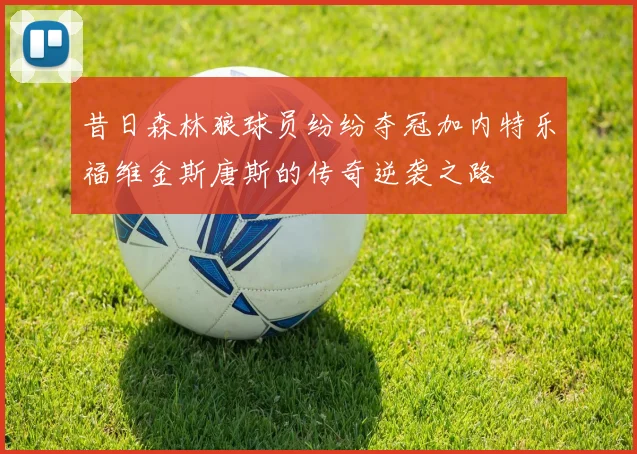 昔日森林狼球员纷纷夺冠加内特乐福维金斯唐斯的传奇逆袭之路